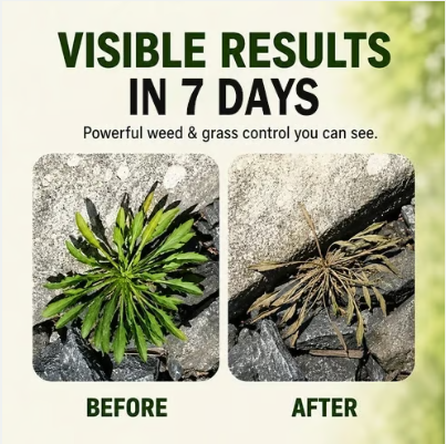 Yard Care Expert Product